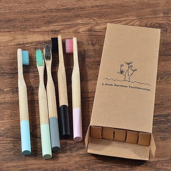 Why Switching to a Wooden Toothbrush is Good for You and the Environment